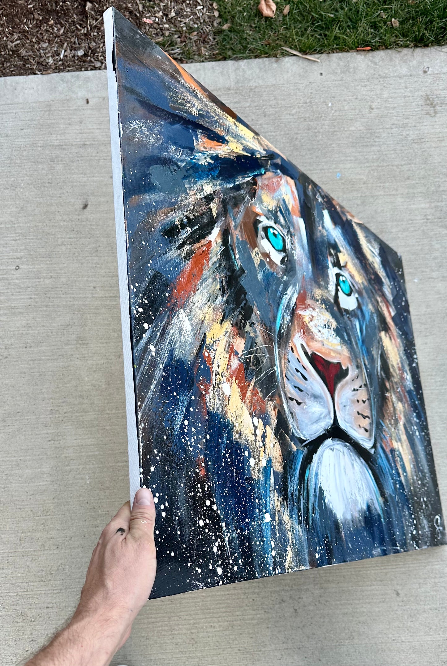 Practice Lion #384 (30x40 Inches)