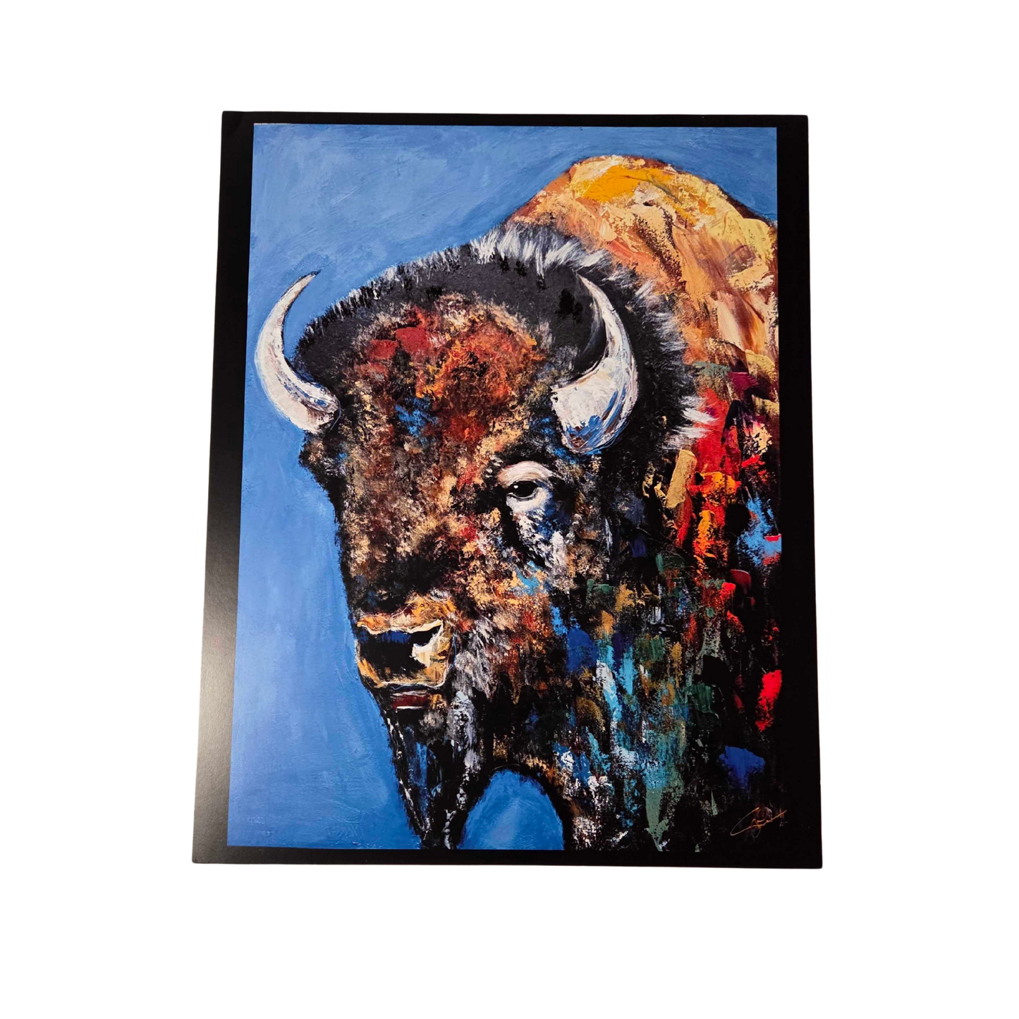 7 LARGE PRINTS! ONLY $99 - Normally $700!!!  Christmas Special